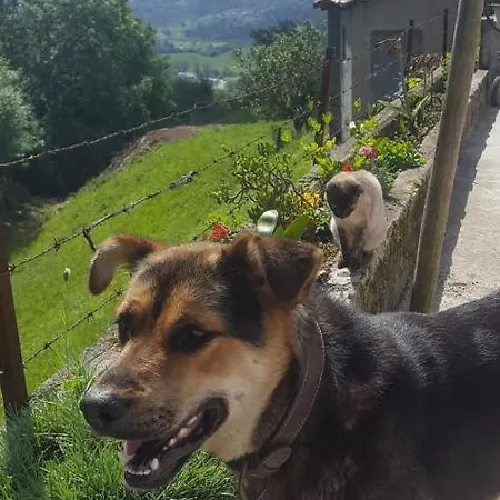 Casa Tali بيت للعطل *